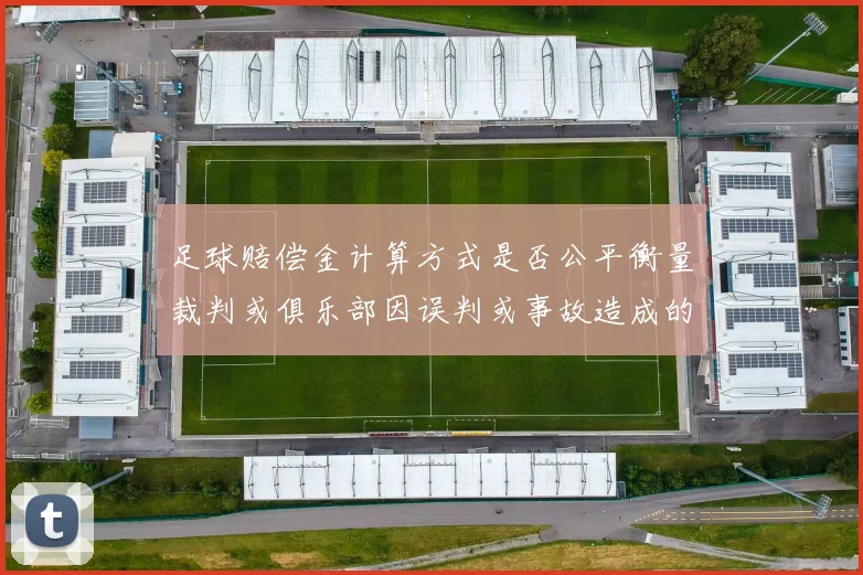 足球赔偿金计算方式是否公平衡量裁判或俱乐部因误判或事故造成的经济损失